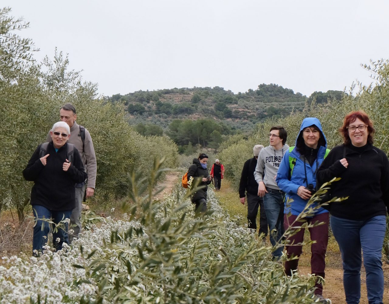 Catàleg experiencies Garrigues (1)